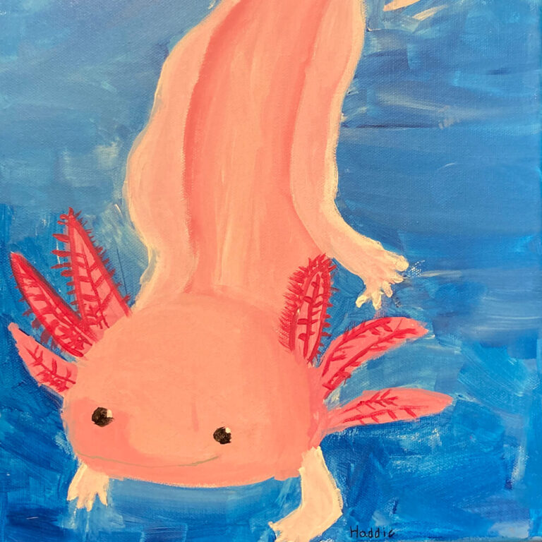 Axoloty